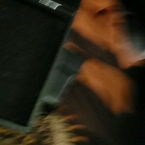 Meet your Posher, Brandon